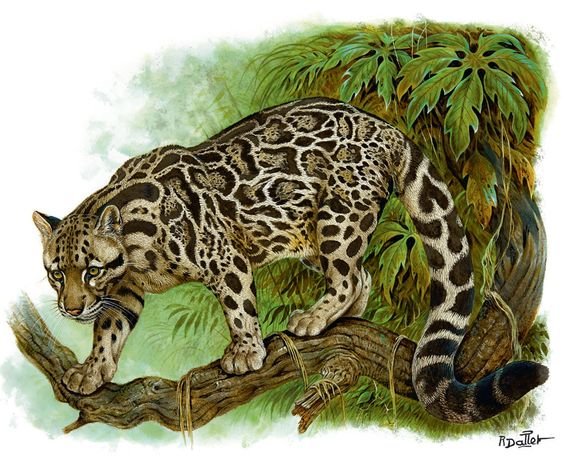 Охотник - дикие животные - оригинал