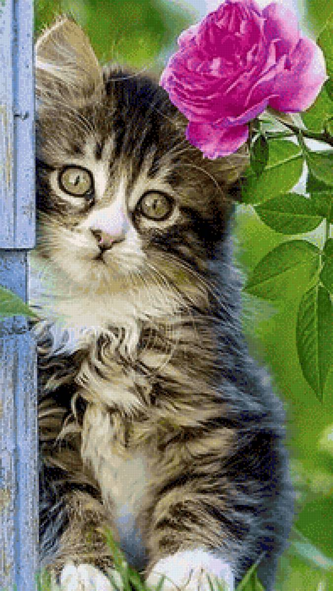 Пушистое очарование - котенок, цветы, домашние животные - предпросмотр
