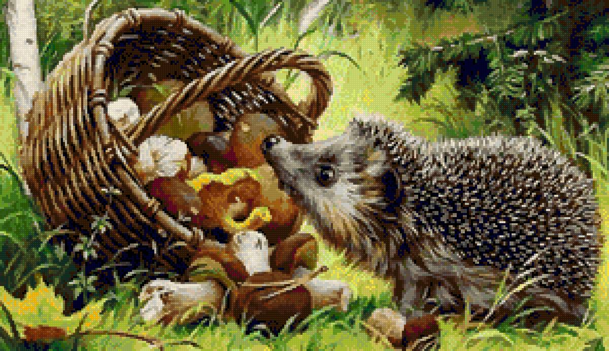 ежик - ежик - предпросмотр