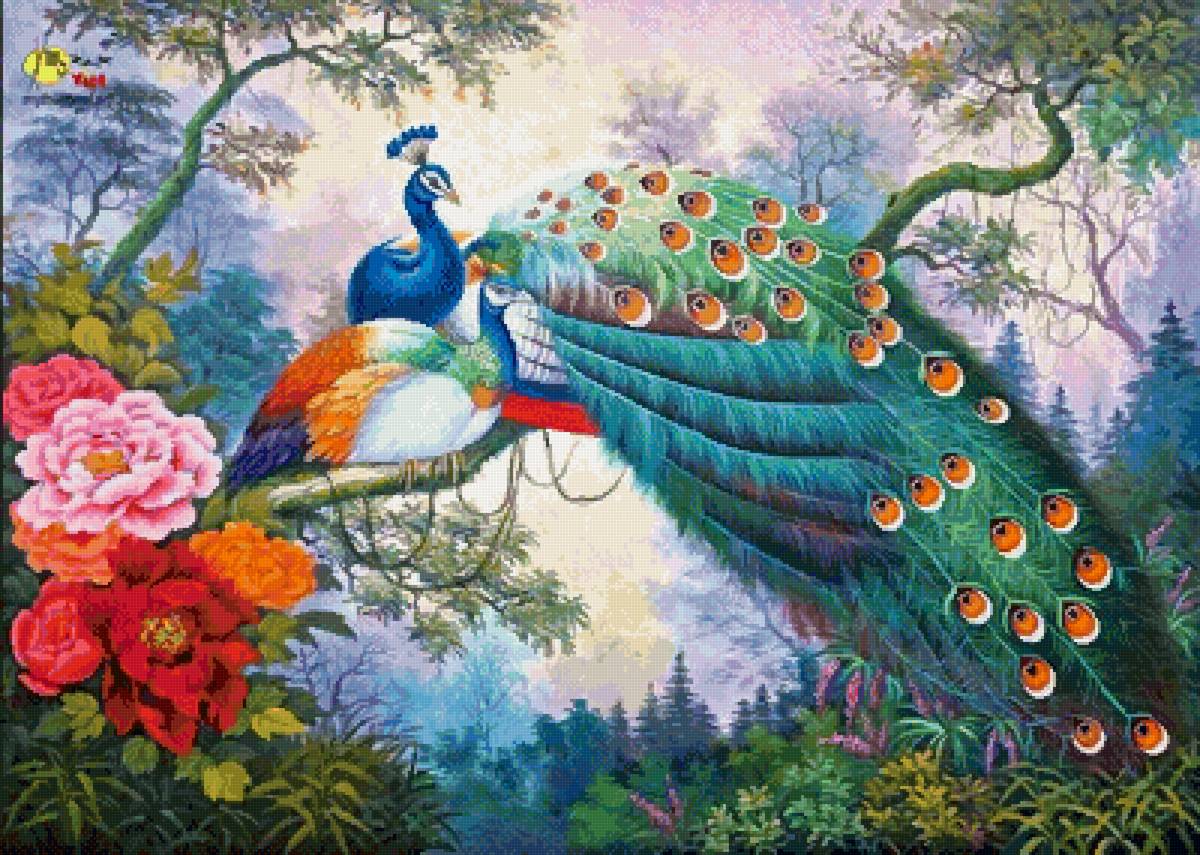 Павлины - павлины, птицы - предпросмотр