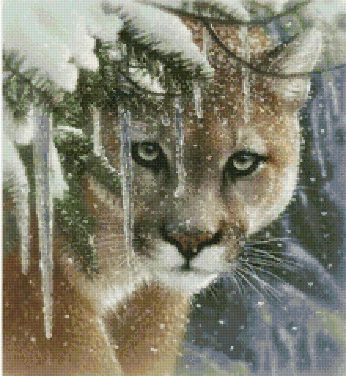 Пума - предпросмотр