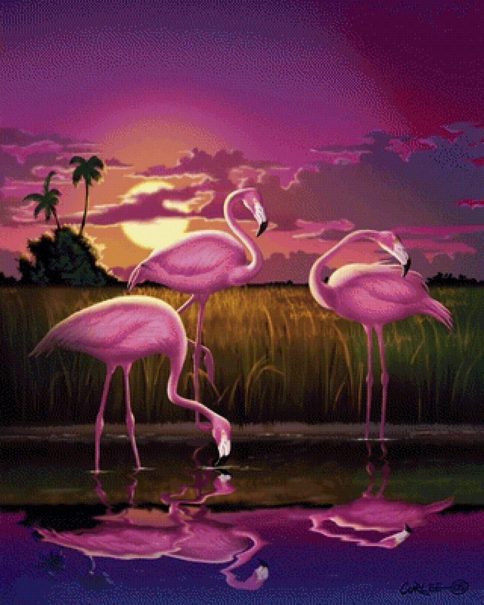 Розовый фламинго - озеро, журавли, закат, птицы - предпросмотр