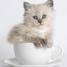 Схема вышивки «№2613824»