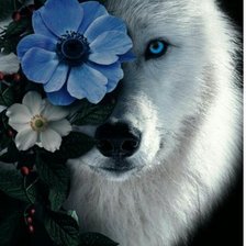 Схема вышивки «№2613921»