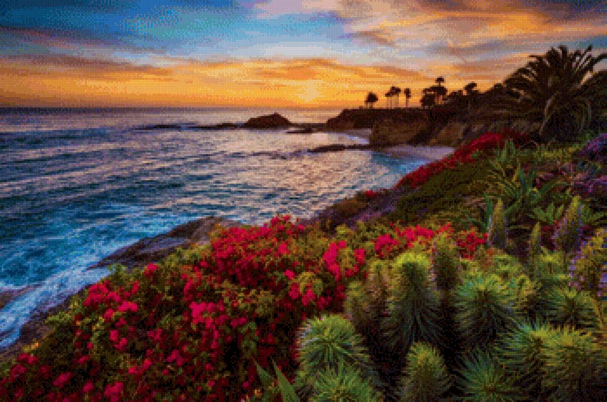 Закат - океан закат, цветы, море - предпросмотр