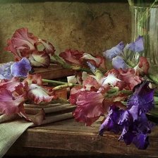 Схема вышивки «№2614527»