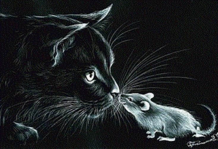 Кот и мышь - кот 🐱, мышь - оригинал