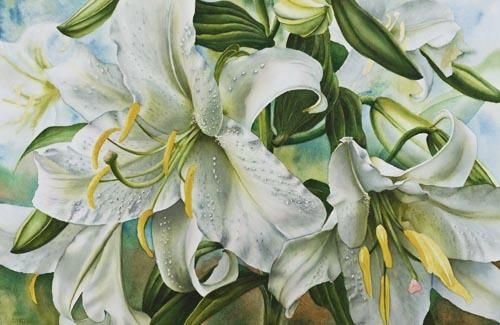 Белые лилии - лилии, цветы - оригинал