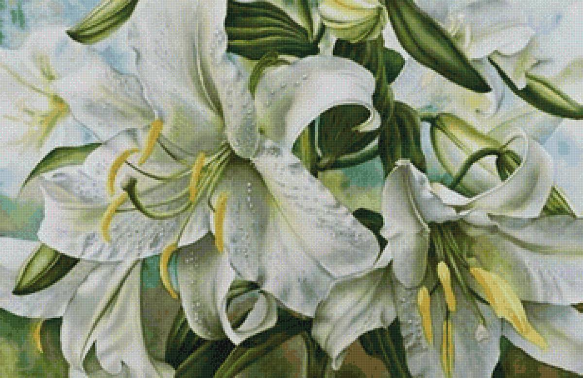 Белые лилии - лилии, цветы - предпросмотр