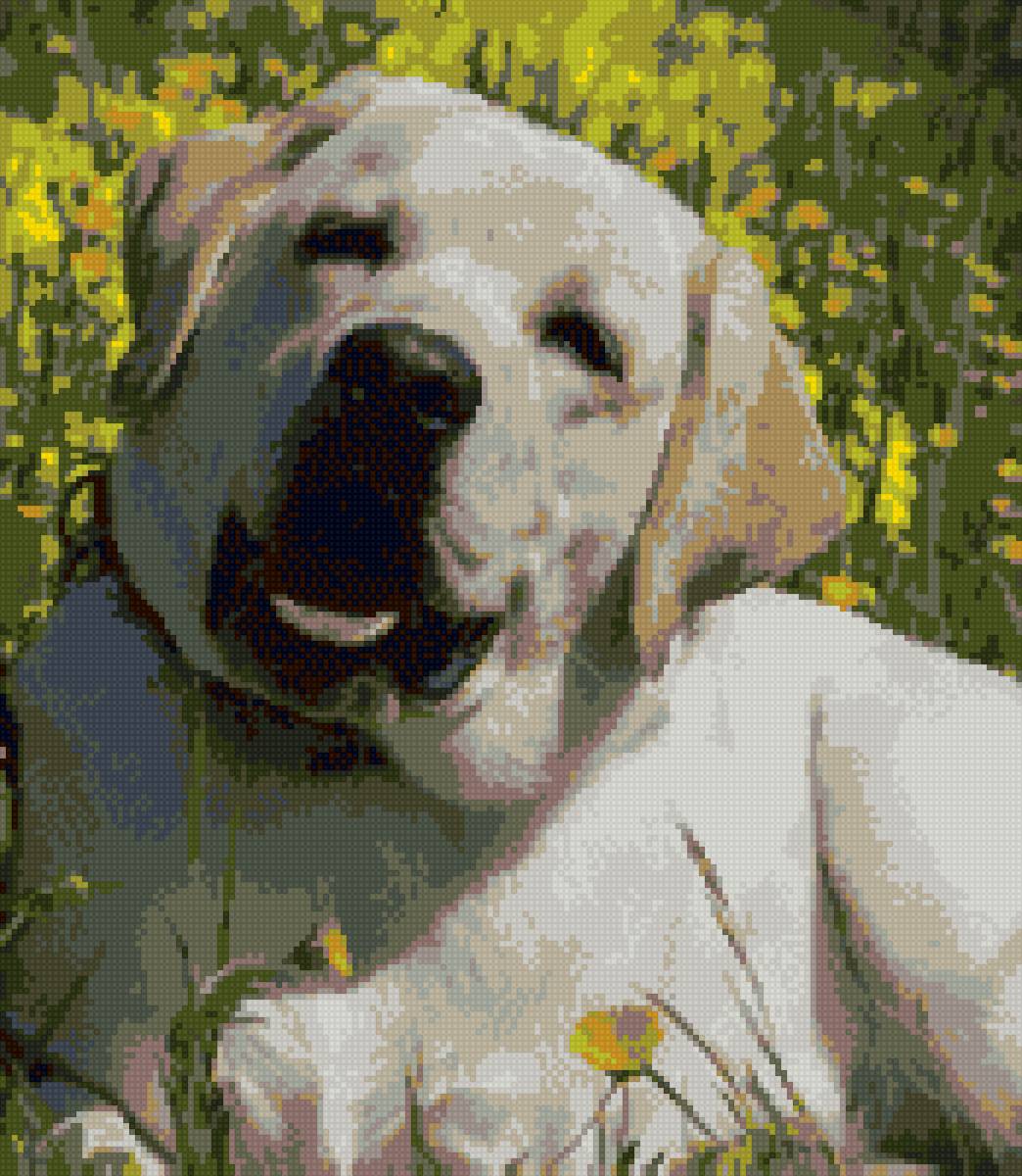 Пёс - крестик, собака, вышивка - предпросмотр