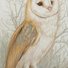 Схема вышивки «№2615048»