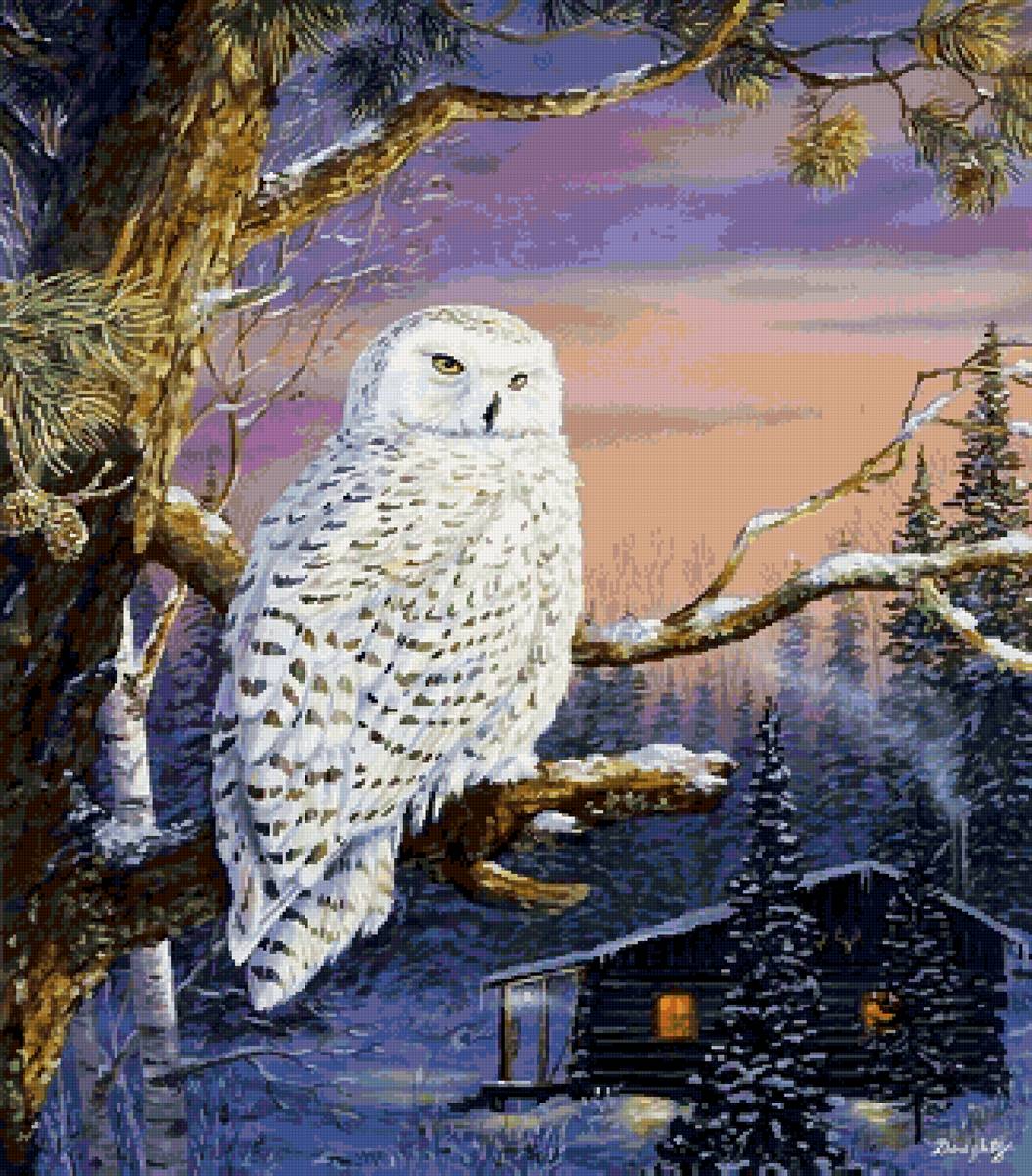 Полярная сова - дом, лес, сова, ночь, дерево, птица - предпросмотр