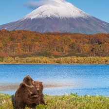 Схема вышивки «Мишки»