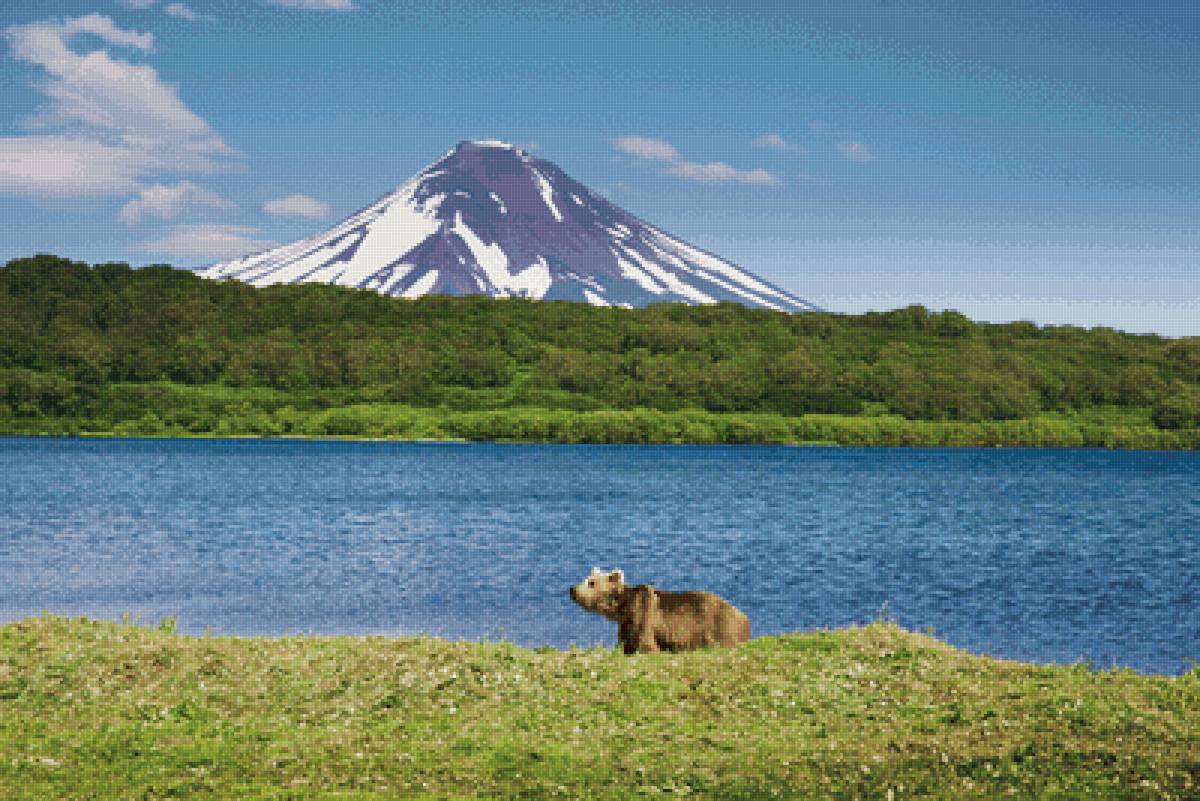 Мишка - природа; мишка; горы; вулканы; лето - предпросмотр