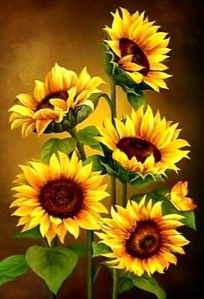 Подсолнухи - подсолнухи - оригинал