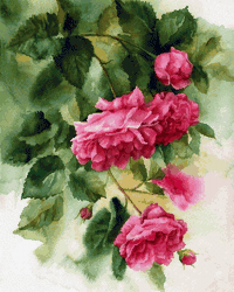 акварель и  розы - акварель розы - предпросмотр