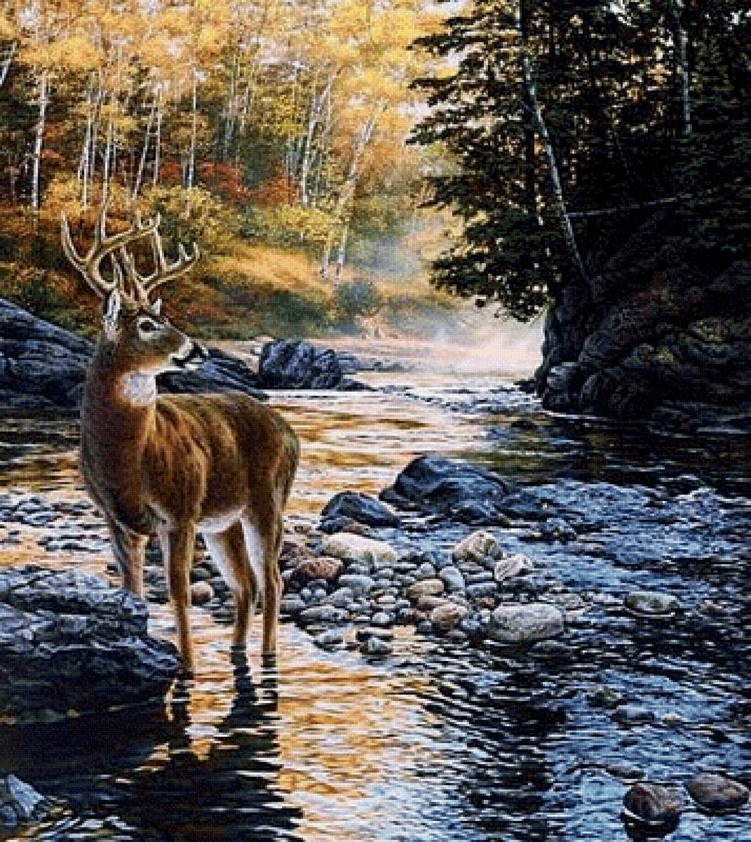 Лесной олень - олень, лес - предпросмотр