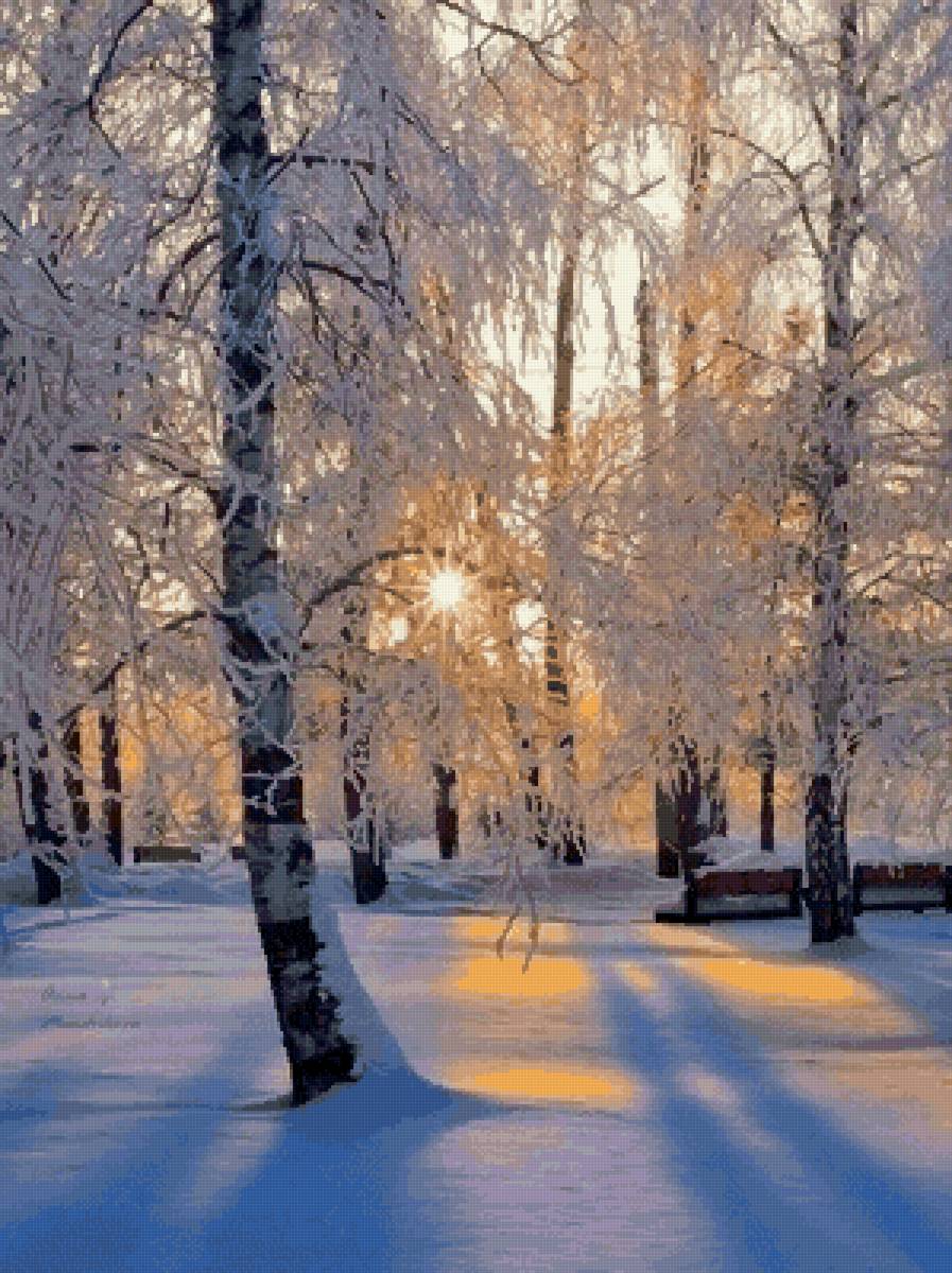 Зимнее солнце. - лес, зима - предпросмотр