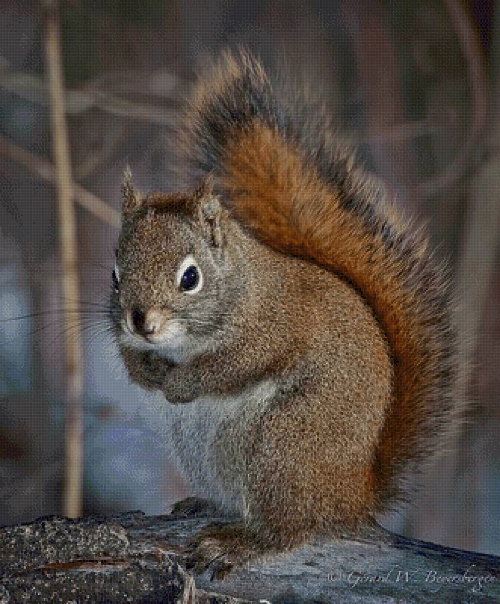 №2616089 - предпросмотр