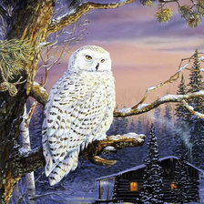 Схема вышивки «Совушка»