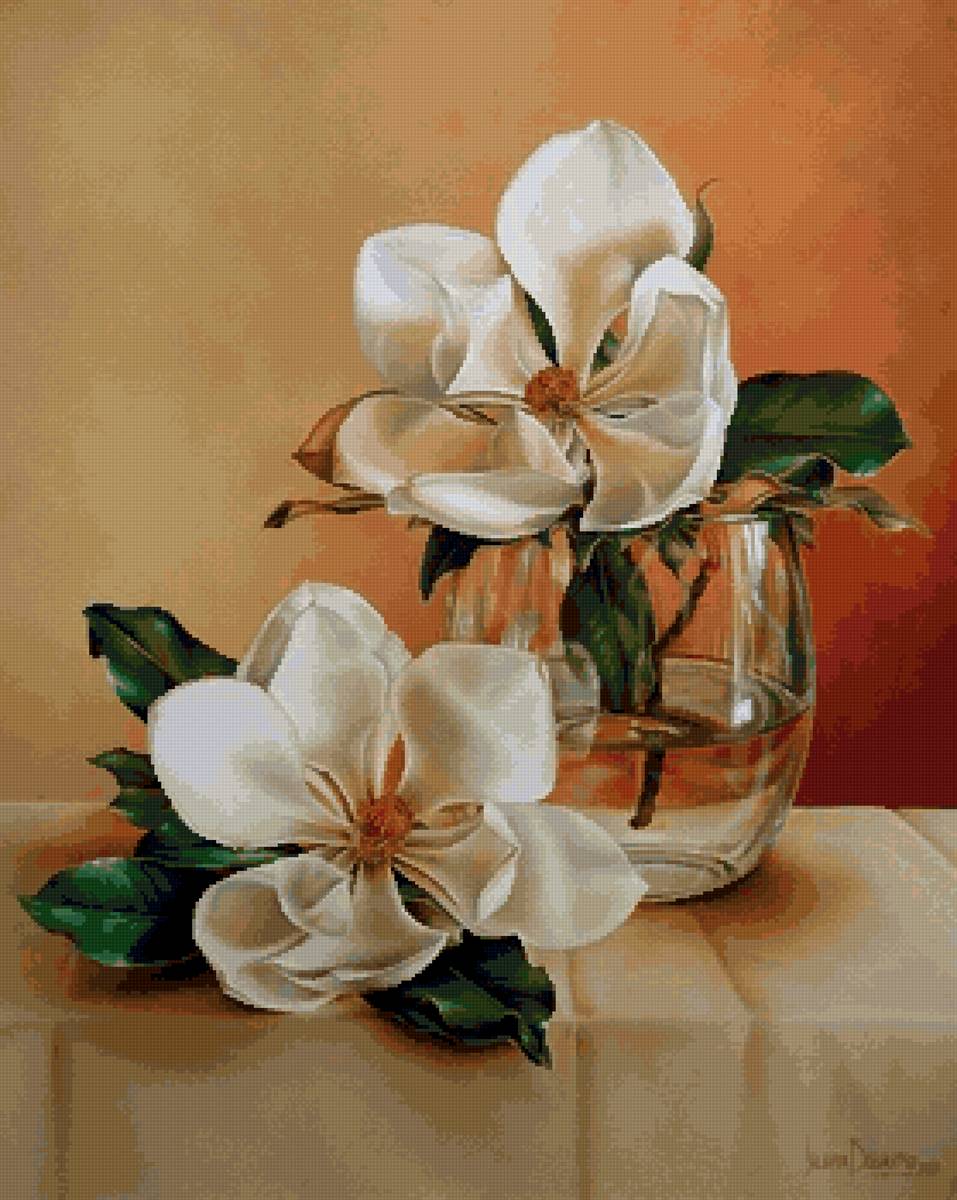 Белые цветы - белые цветы - предпросмотр