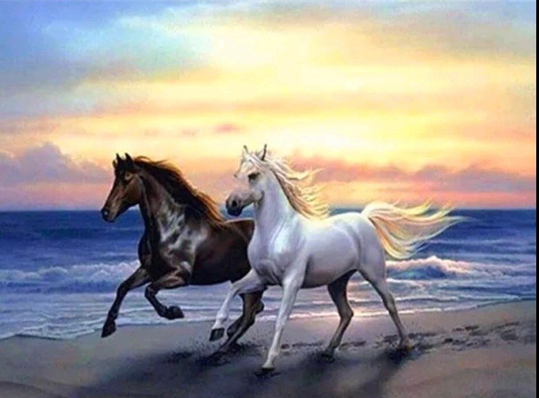 лошади - лошади, кони, море, пара - оригинал