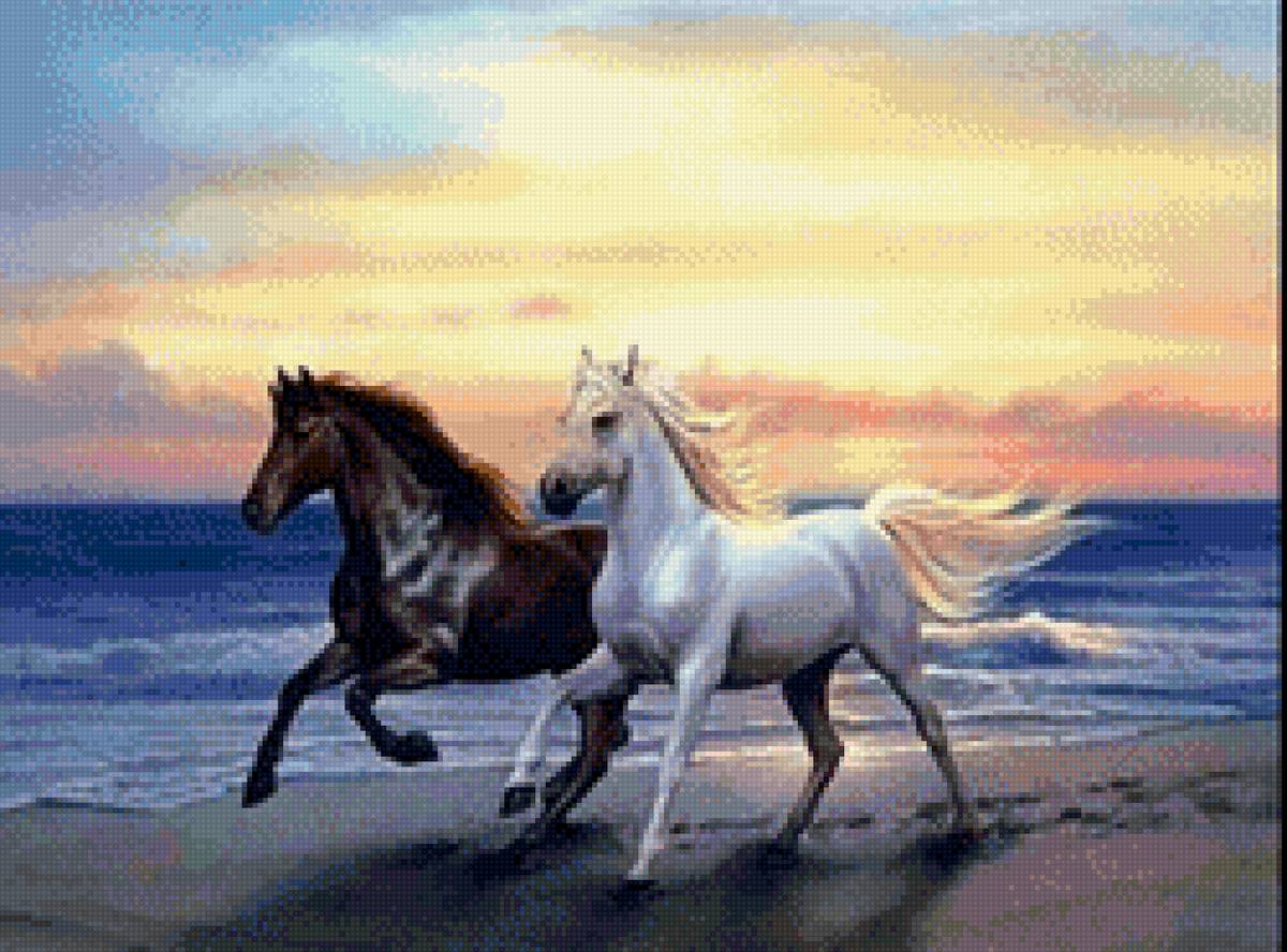 лошади - лошади, море, кони, пара - предпросмотр