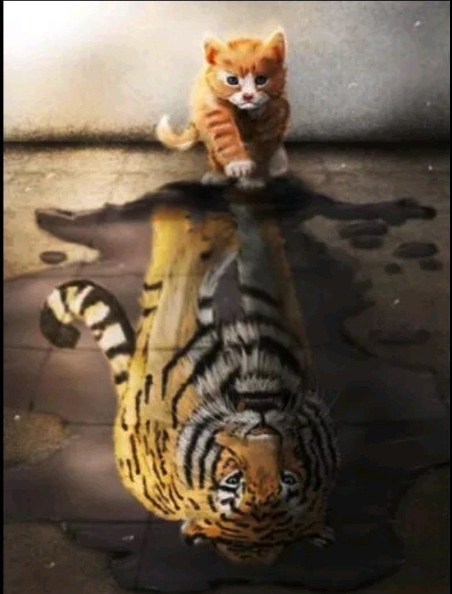 вера в себя - котенок, двое, животные, тигр - оригинал