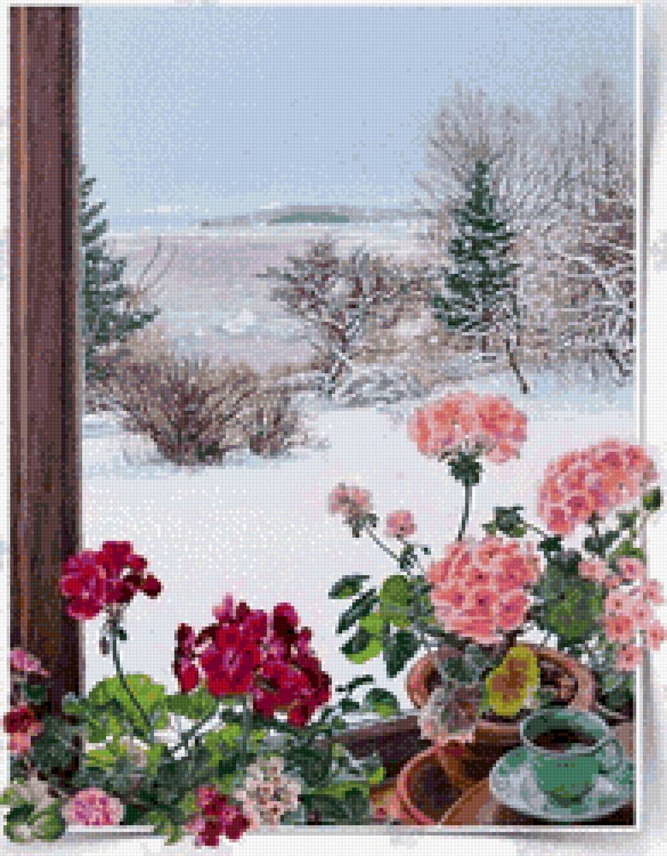 окно - окно, герань, зима - предпросмотр