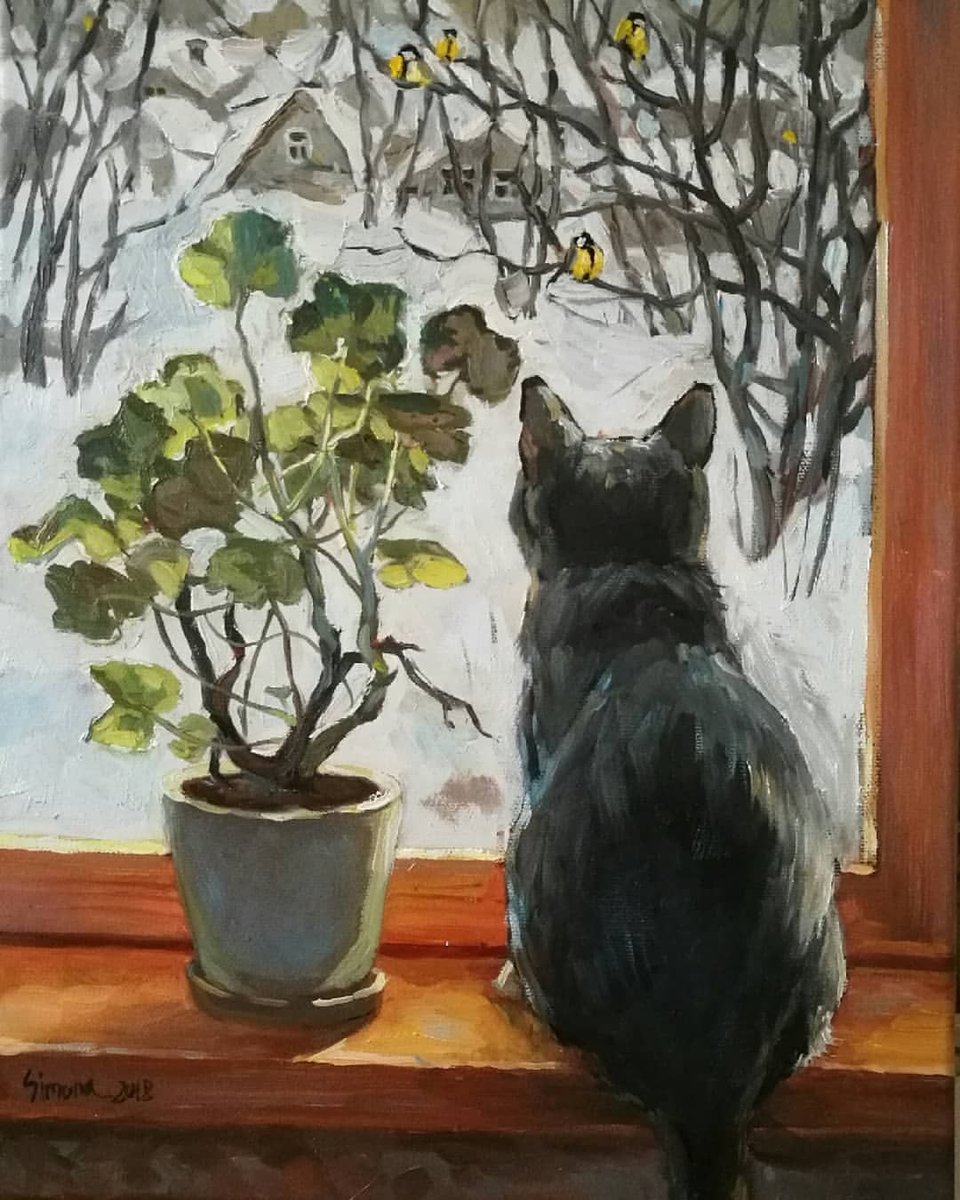 кот на окошке - кот окно зима - оригинал