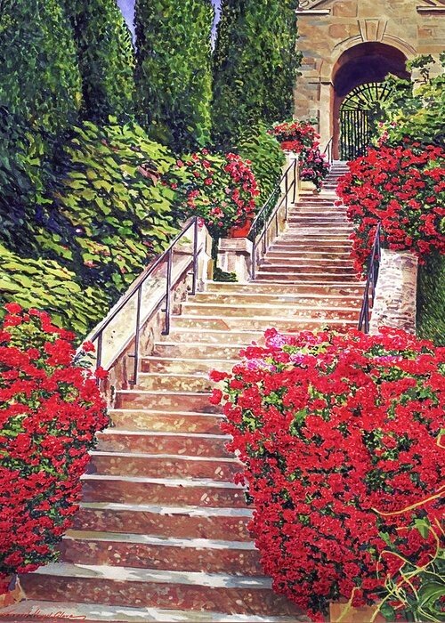 Старая лестница - деревья, ворота, лестница, лето, цветы - оригинал