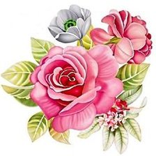 Схема вышивки «Розы»