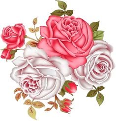 Розы - оригинал