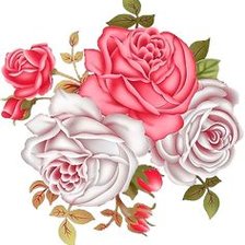 Схема вышивки «Розы»