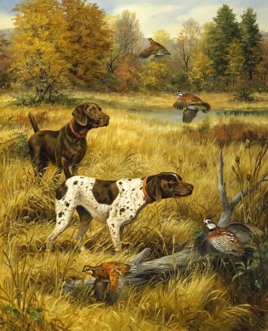 Охота - охота, собаки, птицы, осень - оригинал