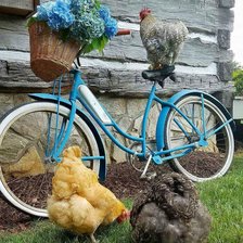 Схема вышивки «Bicicleta»