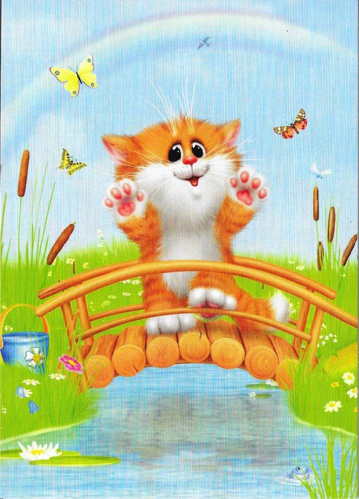 Кот, лето, юмор - оригинал