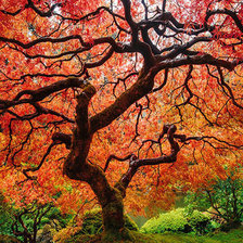 Схема вышивки «Осень»