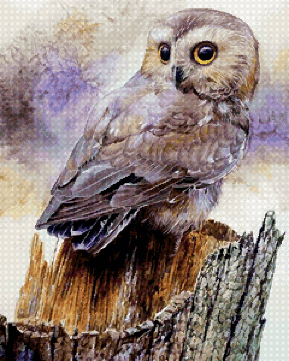 🦉 - сова, пенек, птица - предпросмотр