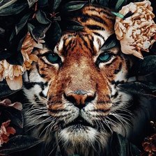 Схема вышивки «Тигр с цветами»