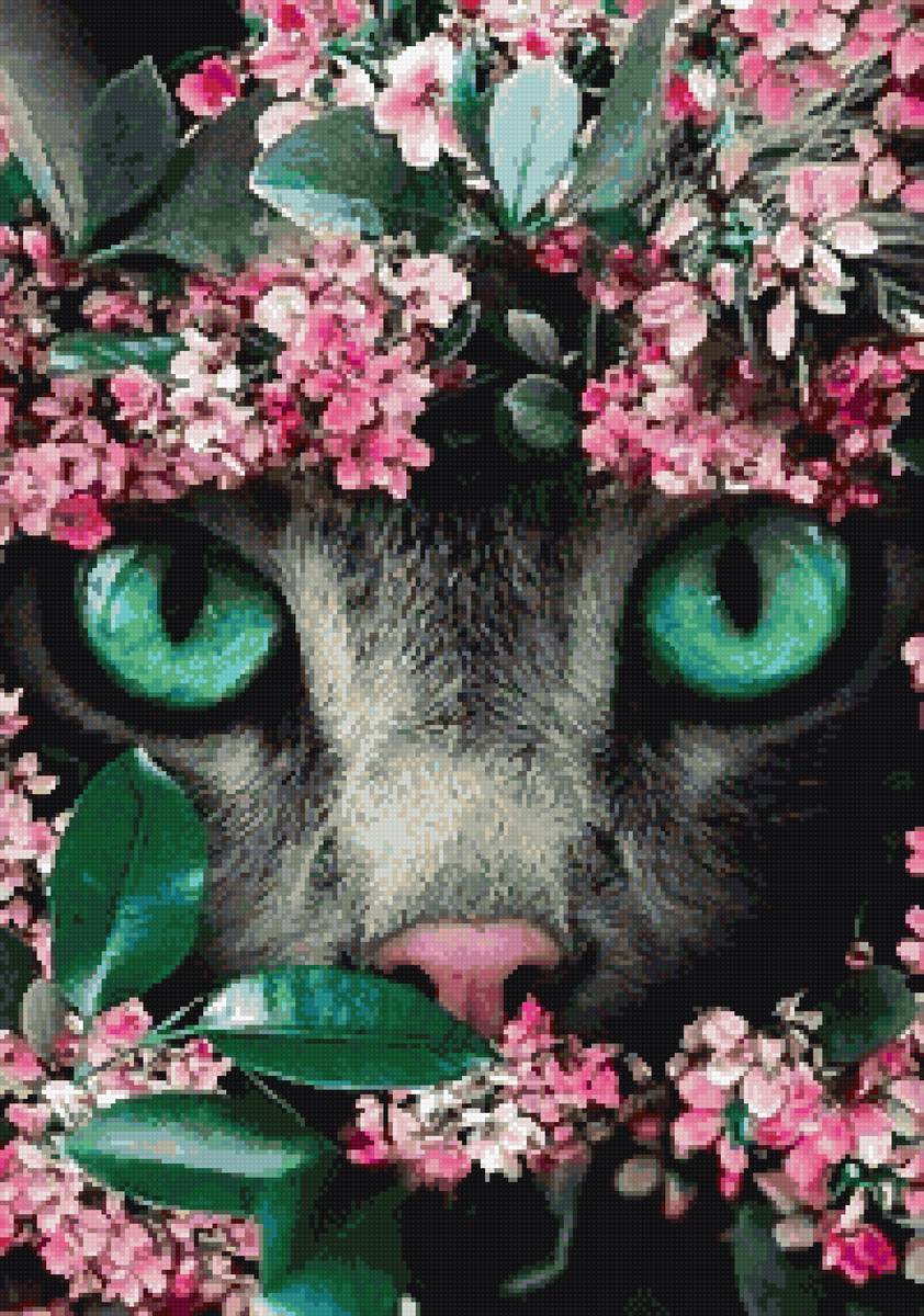 Кот с зелеными глазами - кот, зеленые глаза, цветы - предпросмотр