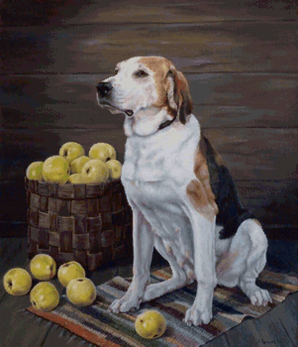 Маруська - коврик, собака, яблоки - предпросмотр