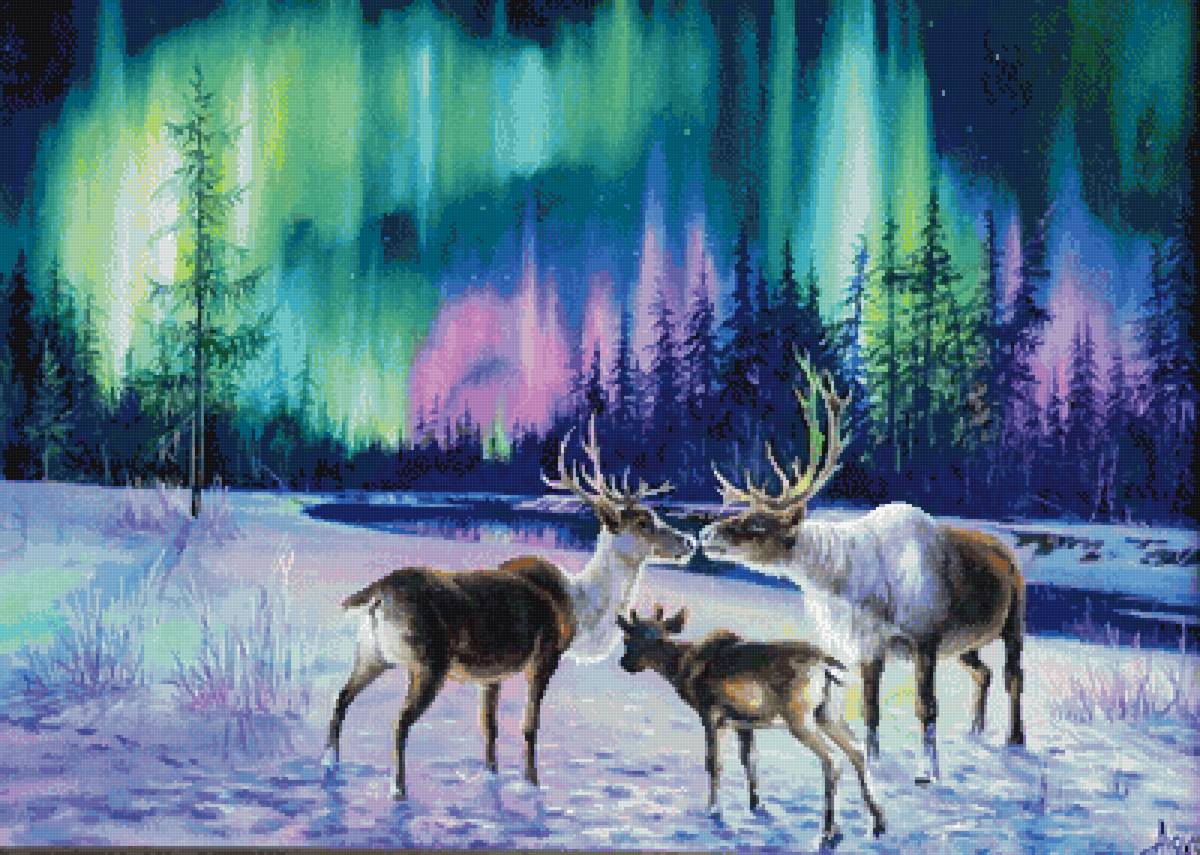 Северное сияние - северное сияние - предпросмотр