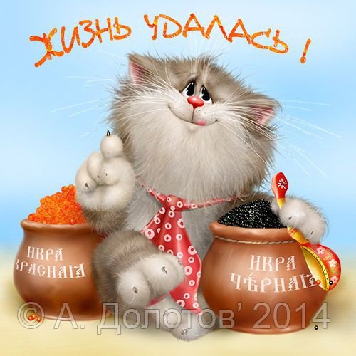 Кот - коь - оригинал