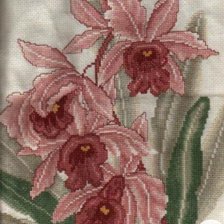 Оригинал схемы вышивки «Орхидеи» (№2621318)