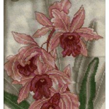 Оригинал схемы вышивки «Орхидеи» (№2621320)