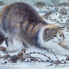 Плохая погода