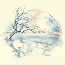 Схема вышивки «акварель»