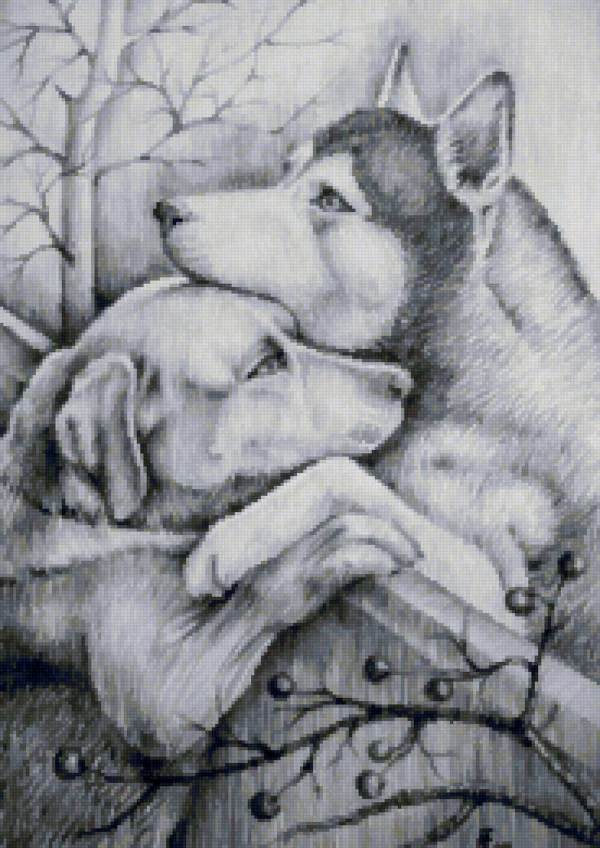 Рисунок - собаки, верность, грусть, любовь - предпросмотр