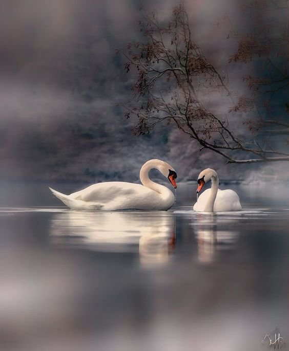 №2622214 - оригинал